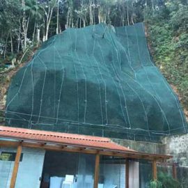 solo-grampeado-verde-em-condominio-img-destak